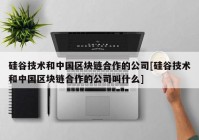 硅谷技术和中国区块链合作的公司[硅谷技术和中国区块链合作的公司叫什么]